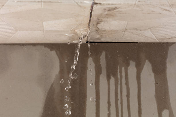 Professional Structural Drying technician working in Brookston, MN